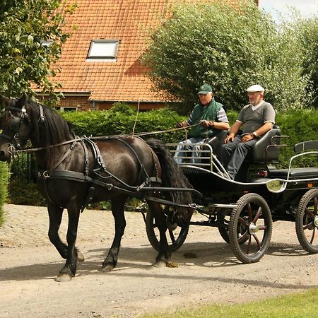 B&B De Klaproos Merkem Exteriér fotografie
